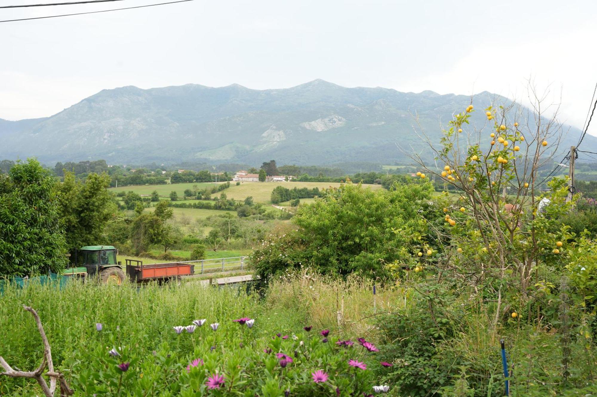 Hébergement de vacances La Casina De Tomas Colunga